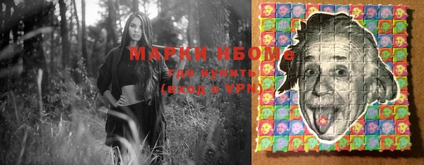 тгк Алексин