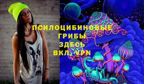 тгк Алексин