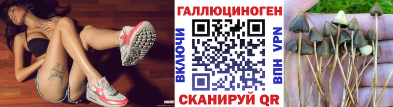 Галлюциногенные грибы ЛСД  Сураж 